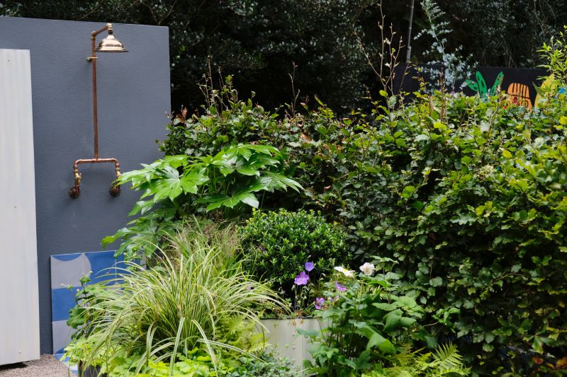 Home Renovation Scene